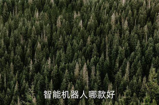智能機(jī)器人玩具luka,luka繪本機(jī)器人不能充電