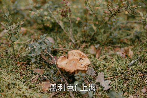 上海自動(dòng)化光電設(shè)備哪里買