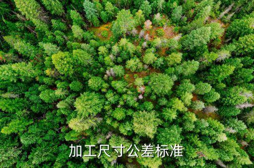 自動(dòng)化設(shè)備的尺寸標(biāo)準(zhǔn),非標(biāo)準(zhǔn)自動(dòng)化設(shè)備