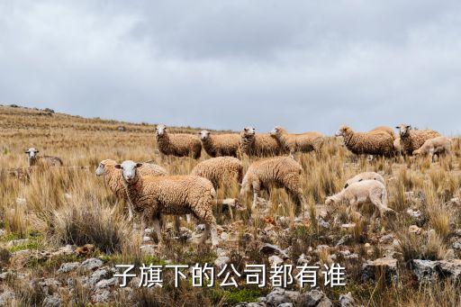自動(dòng)化創(chuàng)業(yè)公司,非標(biāo)自動(dòng)化創(chuàng)業(yè)