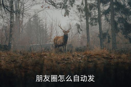 朋友圈怎么自動(dòng)發(fā)