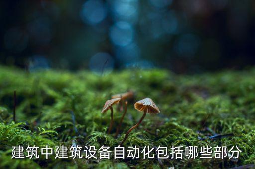 設備樓宇自動化系統(tǒng)的分類《建筑設備自動化系統(tǒng)設計原則》