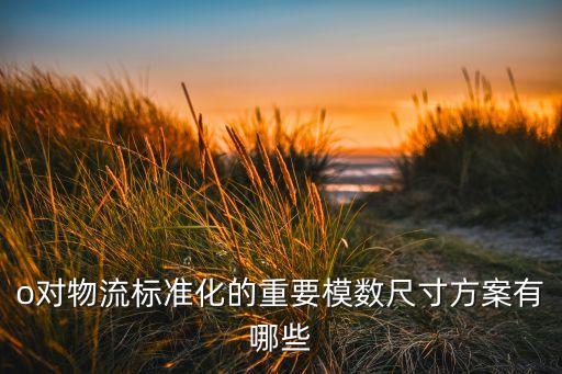 o對物流標(biāo)準(zhǔn)化的重要模數(shù)尺寸方案有哪些
