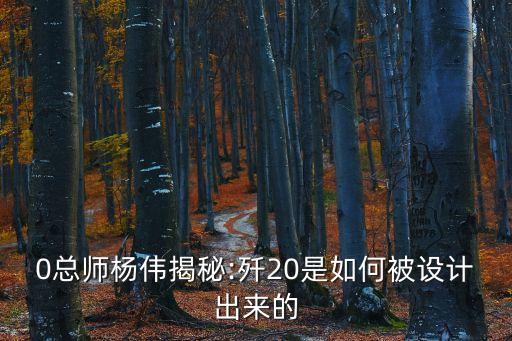 0總師楊偉揭秘:殲20是如何被設(shè)計(jì)出來(lái)的