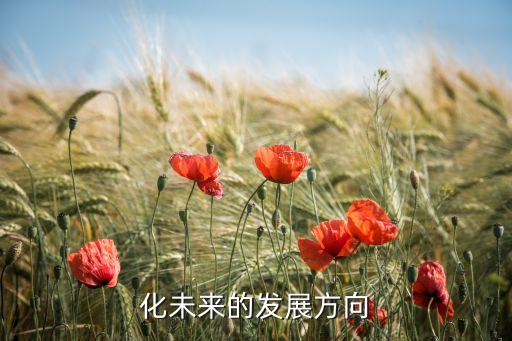 未來(lái)自動(dòng)化設(shè)備廠,蘇州自動(dòng)化儀表廠
