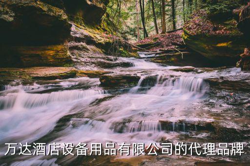 萬達(dá)酒店設(shè)備用品有限公司的代理品牌