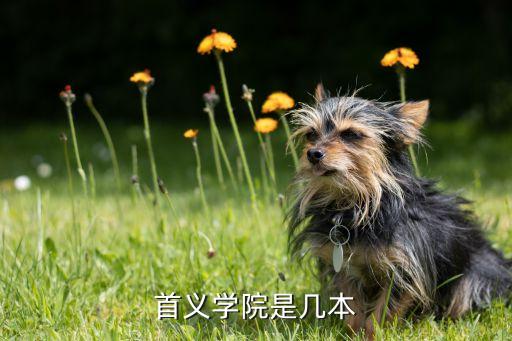 武昌首義學(xué)院電氣自動化,首義學(xué)院是正規(guī)大學(xué)嗎?