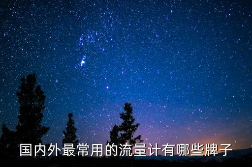 國內外最常用的流量計有哪些牌子