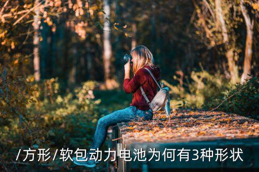 /方形/軟包動(dòng)力電池為何有3種形狀