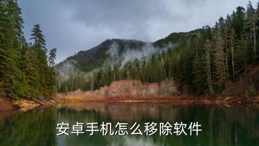 清除安卓應用數據,如何清除手機上某一應用的數據?