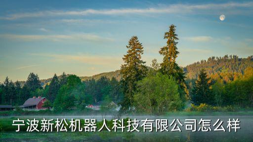 寧波新松機(jī)器人科技有限公司怎么樣