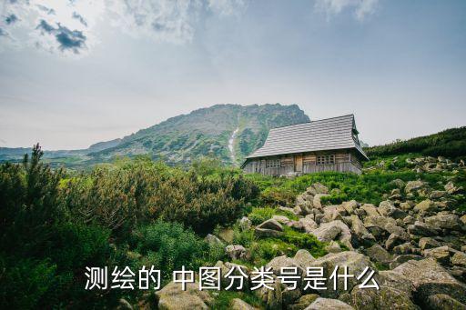 中圖分類號,什么是中圖分類號?