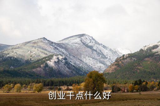 創(chuàng)業(yè)干點什么好