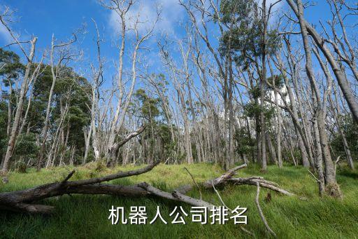 機器人公司排名