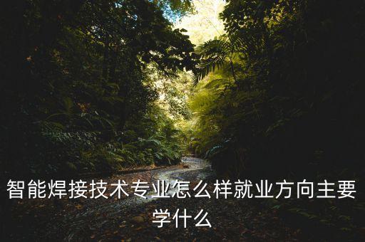 智能焊接技術(shù)專(zhuān)業(yè)怎么樣就業(yè)方向主要學(xué)什么