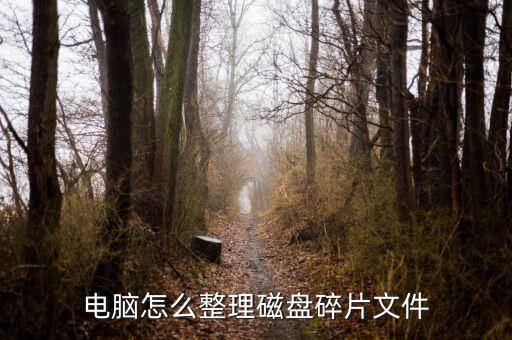蘋(píng)果電腦怎么清理數(shù)據(jù),蘋(píng)果電腦內(nèi)存怎么清空?