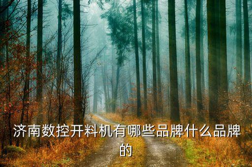  濟(jì)南數(shù)控開料機(jī)有哪些品牌什么品牌的