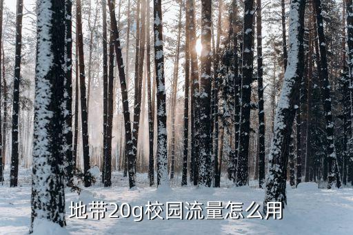 本地校園移動數(shù)據流量,移動校園流量包