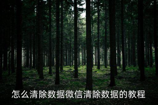 怎么清除數據微信清除數據的教程