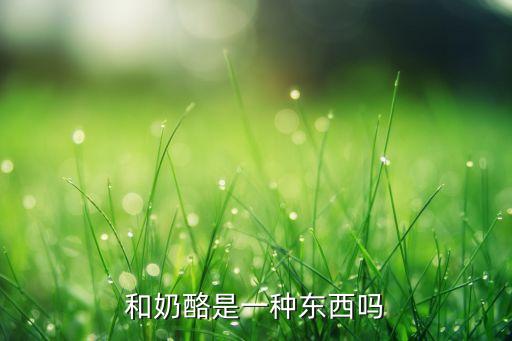 芝士百科機器人,卡盤奶酪機器人