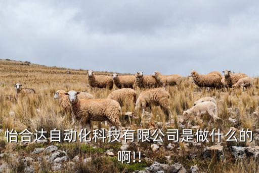 東莞制作鞋子的自動化設備,自動制鞋生產(chǎn)設備