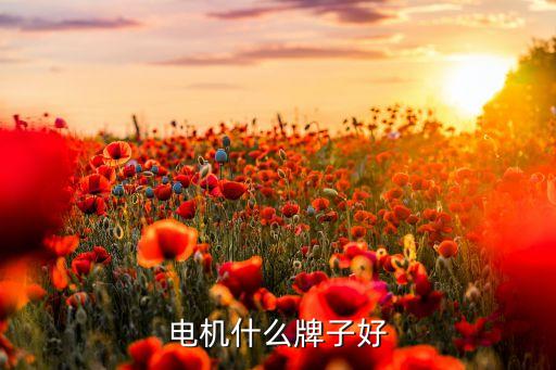 自動(dòng)化設(shè)備電機(jī)選哪種,機(jī)電自動(dòng)化設(shè)備有哪些?