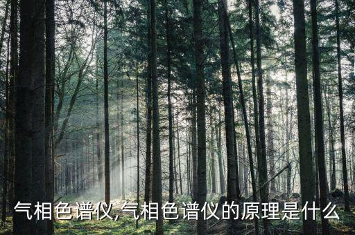 在線氣相色譜儀,氣相色譜儀的原理是什么?