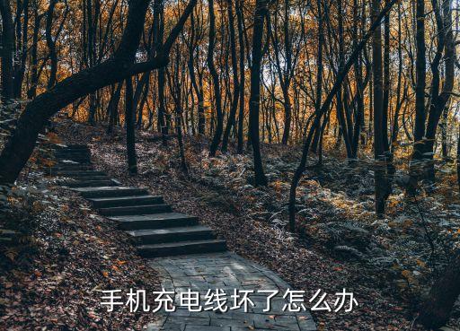 手機(jī)充電線壞了怎么辦