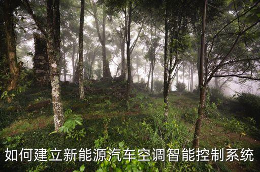 如何建立新能源汽車空調(diào)智能控制系統(tǒng)