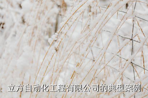 立方自動化工程有限公司的典型案例