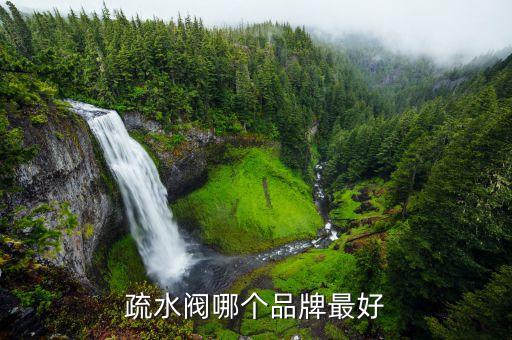 疏水閥哪個(gè)品牌最好