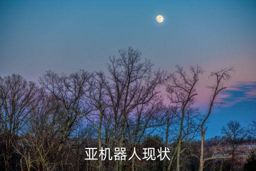 機(jī)器人索菲亞的價值,美國機(jī)器人索菲亞