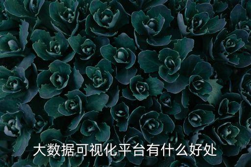 運(yùn)用大數(shù)據(jù)平臺,大數(shù)據(jù)有哪些應(yīng)用?
