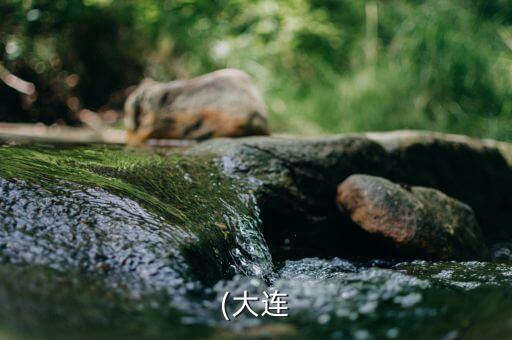 大連致用自動化科技有限公司,九江亞訊網(wǎng)絡(luò)科技有限公司