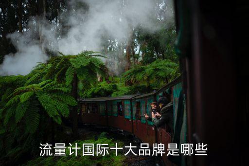 流量計(jì)國(guó)際十大品牌是哪些