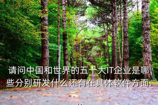 請(qǐng)問(wèn)中國(guó)和世界的五十大IT企業(yè)是哪些分別研發(fā)什么還有在具體軟件方面...