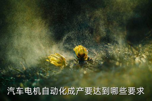 汽車電機自動化成產要達到哪些要求