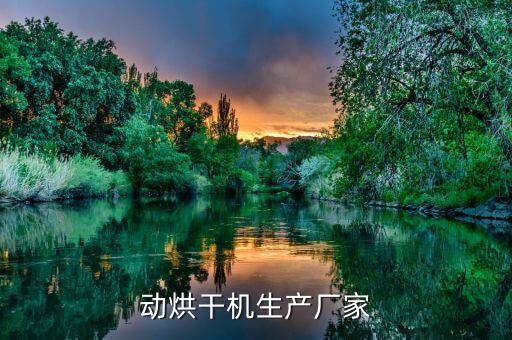 動烘干機生產(chǎn)廠家