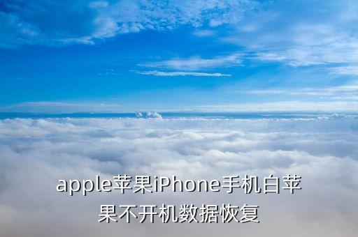 apple蘋(píng)果iPhone手機(jī)白蘋(píng)果不開(kāi)機(jī)數(shù)據(jù)恢復(fù)