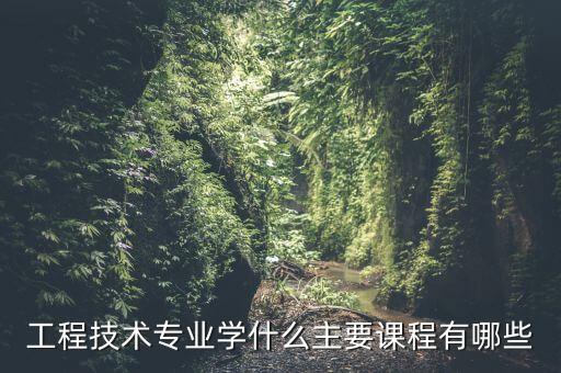 工程技術(shù)專(zhuān)業(yè)學(xué)什么主要課程有哪些