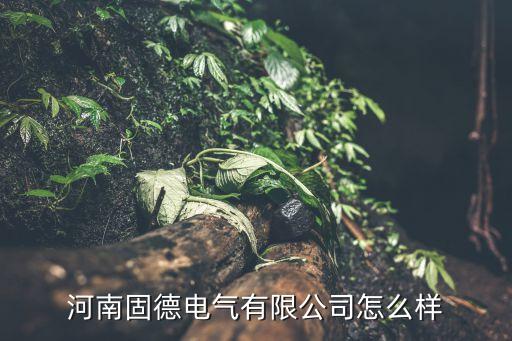 河南固德電氣有限公司怎么樣