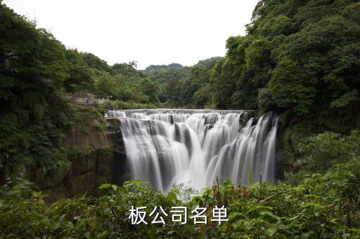 廣州中恒自動(dòng)化有限公司,創(chuàng)業(yè)板公司名單?