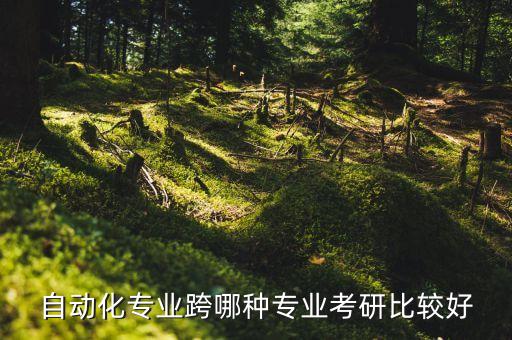 自動(dòng)化考研哪些專業(yè)好調(diào)劑,計(jì)算機(jī)考研哪些學(xué)校比較好?