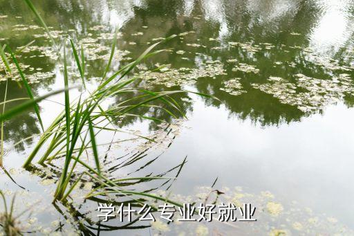 大專(zhuān)護(hù)士自動(dòng)化專(zhuān)業(yè),自動(dòng)化專(zhuān)業(yè)