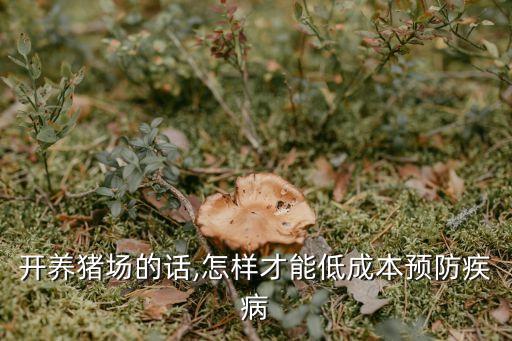 貴陽自動化養(yǎng)豬設(shè)備哪家好,自動化養(yǎng)豬設(shè)備怎么用?