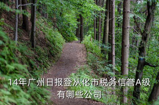 14年廣州日報登從化市稅務(wù)信譽A級有哪些公司