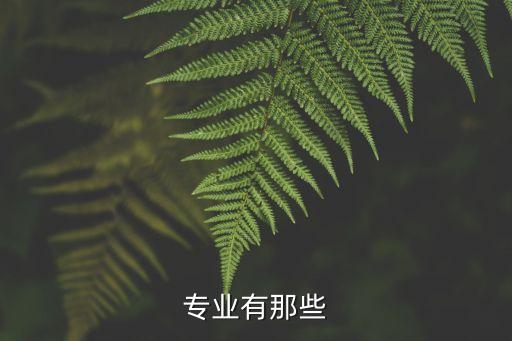 自動(dòng)化冷門專業(yè)排名,華科冷門專業(yè)排名