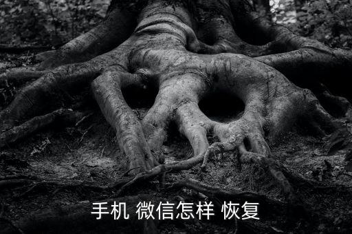怎么刪除微信游戲數(shù)據(jù)恢復(fù),微信里面的游戲怎么刪除