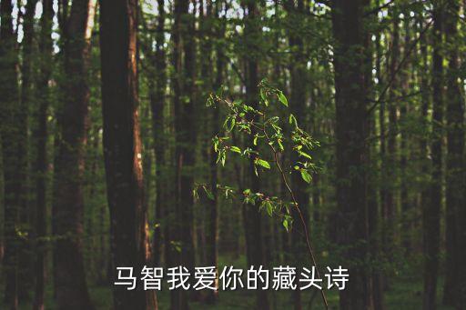 馬智我愛你的藏頭詩