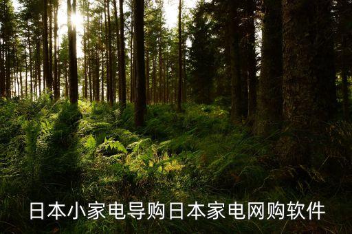 日本網購平臺，國際網購平臺有哪些